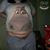 Anthony E Palko's profile image