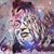 Nicole Cordick's profile image