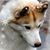 Nadja Robien's profile image