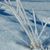 Amanda Shaw Spackman's profile image