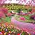 Michelle Babik Beblar's profile image