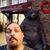 Kenneth Yates's profile image