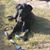 James W. Jobe's profile image