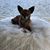 Dayle Muller's profile image