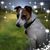Amy Poling's profile image