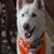 Mary Linda Cragar's profile image