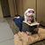 Molly Sylva's profile image