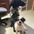 Laurie Garbel's profile image