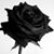Milton Quinones's profile image