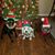 Nikki Boncher Key's profile image