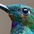 Dee Greer's profile image