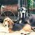 Kay Tonini's profile image