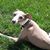 Bill Heisler's profile image