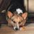 Sally Everlove's profile image