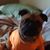 Darline Casias's profile image