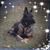 Diane Hazel's profile image