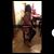 Sarina Dixon's profile image