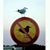 Todd T Lewis's profile image