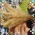 Tammy Bear's profile image