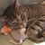 Beth Seely Godoy's profile image