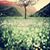 Mahmood Mostafa's profile image
