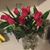 Katerine Rogers's profile image