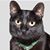 Carla Heritage Miller's profile image