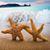 Tina Wagner Ritondaro's profile image
