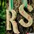 Ragunath Singh's profile image
