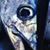 Fish Wholesaler's profile image