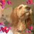 Sue Teager Blankenship's profile image