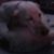 Christopher Benefiel's profile image