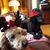 Jackie Mohr Howard's profile image