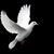 Karen Martin Adams's profile image