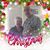 Phyllis Kaupa Hand's profile image