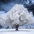 Kimberly Quarfeld Bailey's profile image