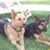 Julie Owen Pickett's profile image
