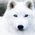 Kristi Rose's profile image