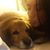 Bettina Reisenauer's profile image