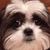 Pete Greenfield's profile image