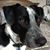 Aimery Campion's profile image