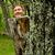 Rob Young's profile image