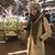 Shannen Nicole Gallardo's profile image