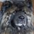Sandra Barneron's profile image