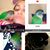 Bryanna Galley's profile image