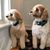Susan Hicks Sacco's profile image