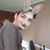 Dan Milkewicz's profile image