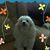 Kathy Howell's profile image
