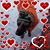 Lisa Grote Rauscher's profile image