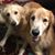 Maryann Richard's profile image